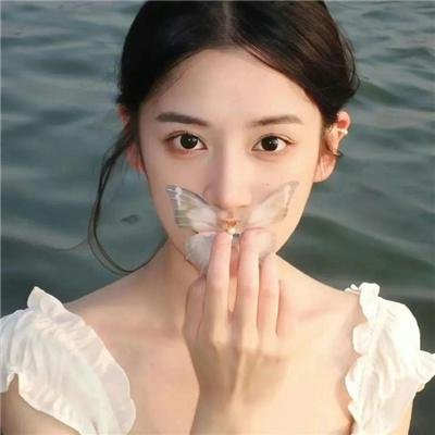 机械怪兽